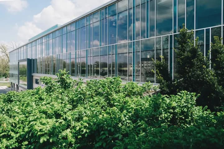 A glass office building behind trees
